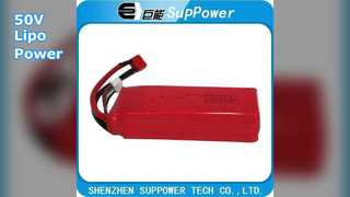 Giant E-Bike など用の 50V Lipo バッテリー